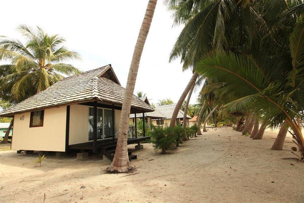 Bed And Breakfast Tikehau Dış mekan fotoğraf